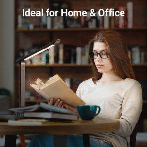 LED Desk Lamp